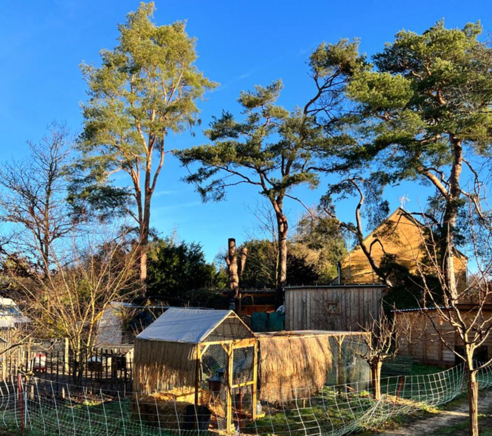 Ecolodge Beauregard 特雷尼 外观 照片