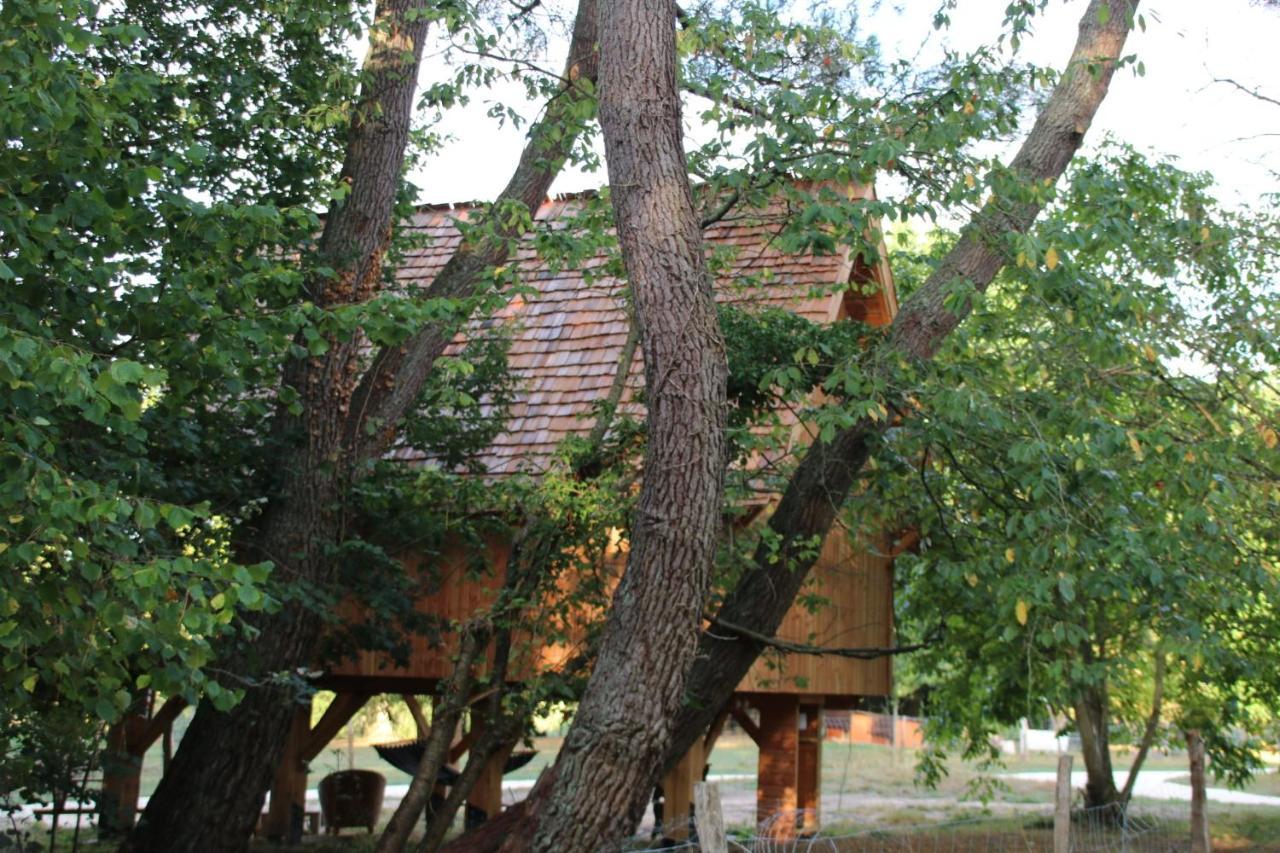 Ecolodge Beauregard 特雷尼 外观 照片