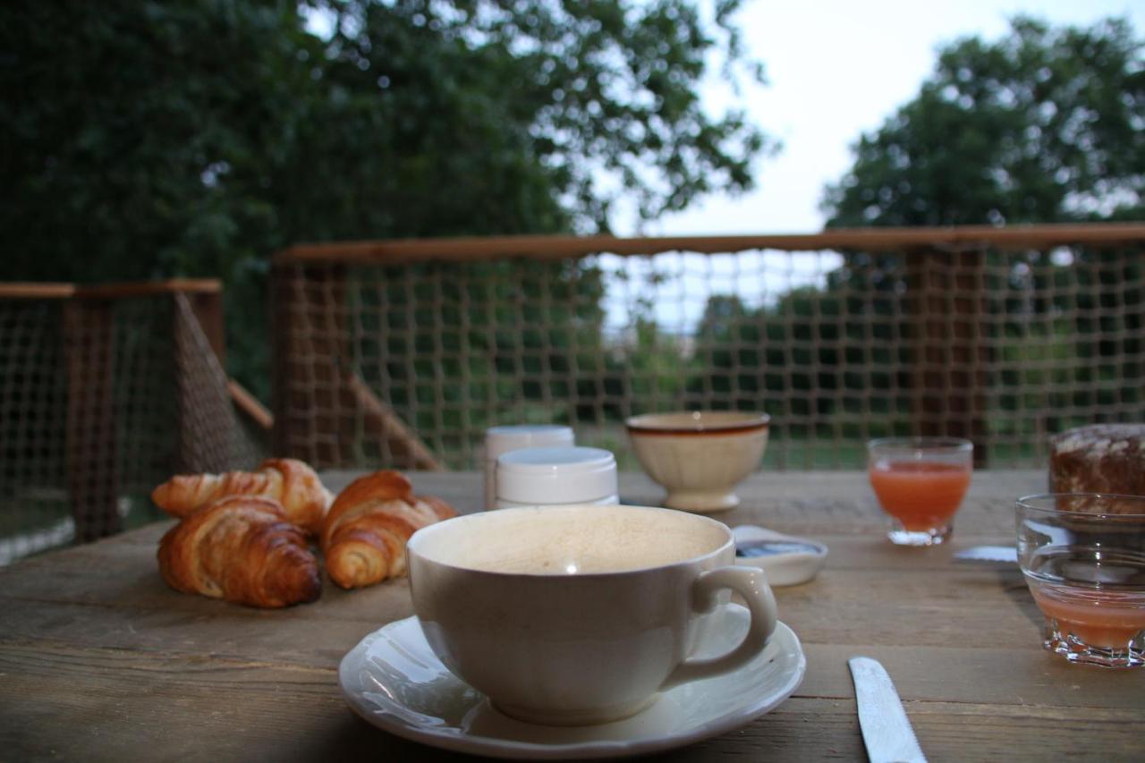 Ecolodge Beauregard 特雷尼 外观 照片