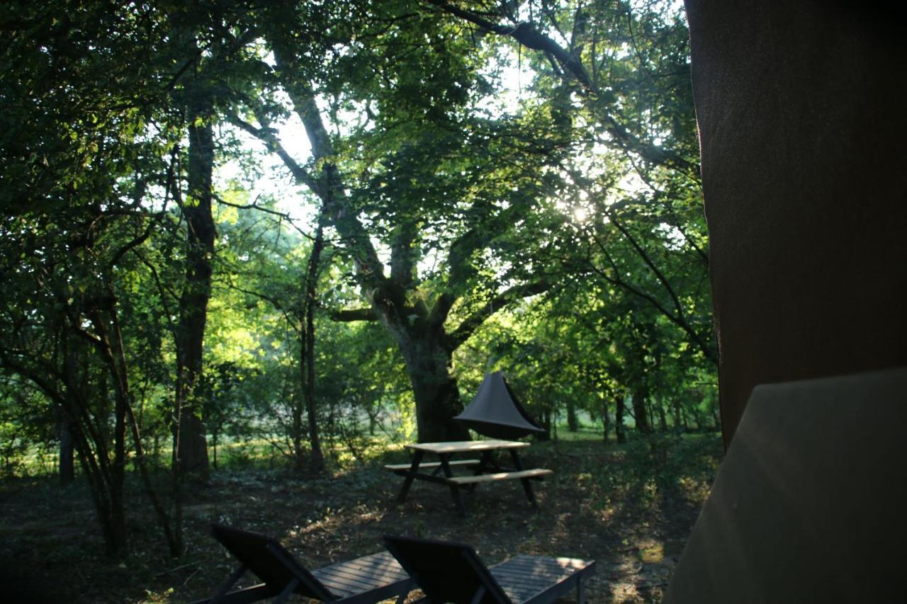 Ecolodge Beauregard 特雷尼 外观 照片