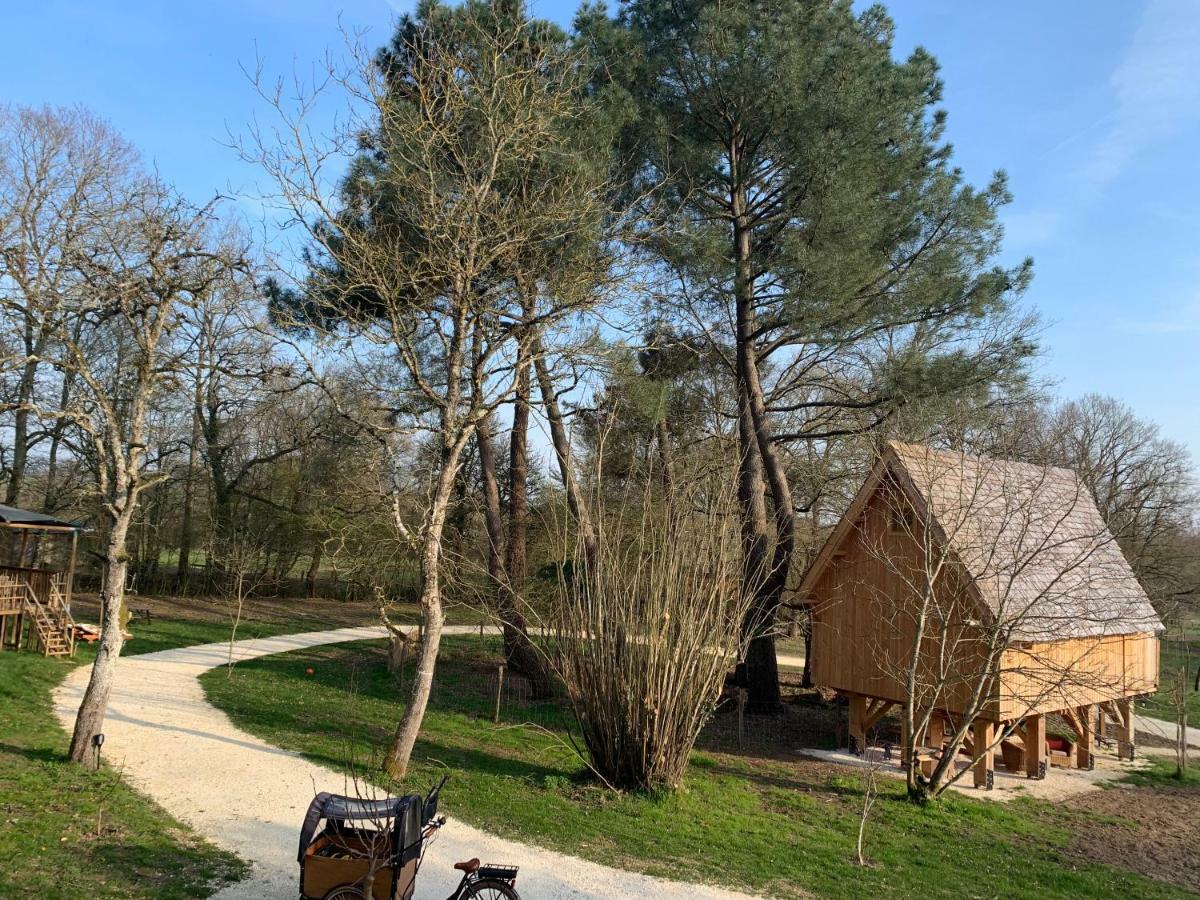 Ecolodge Beauregard 特雷尼 外观 照片