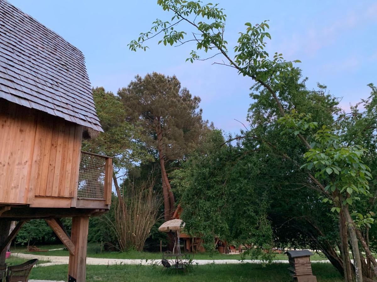 Ecolodge Beauregard 特雷尼 外观 照片
